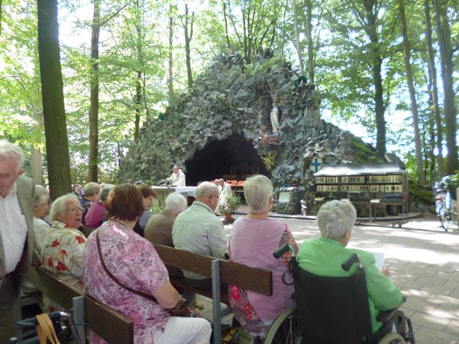 Zonnebloem afdeling