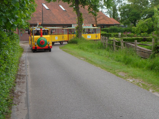 Zonnebloem afdeling