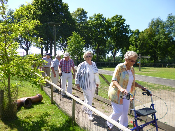 Zonnebloem afdeling