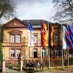 Zonnebloem afdelingsnieuws