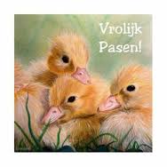 Zonnebloem afdelingsnieuws