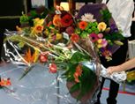 Zonnebloem afdeling