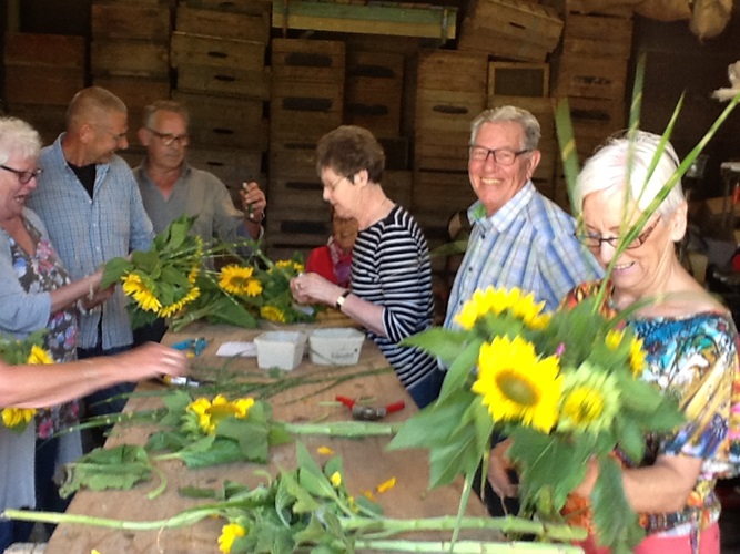 Zonnebloem afdeling