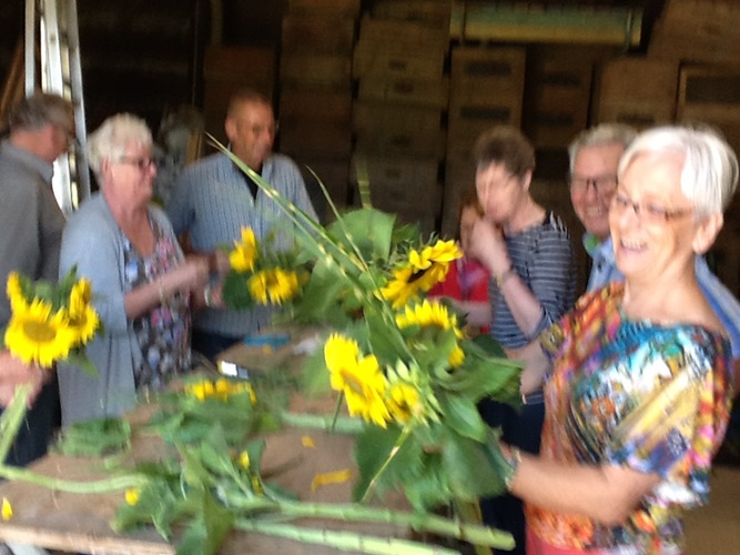 Zonnebloem afdeling