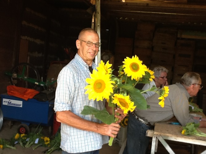 Zonnebloem afdeling