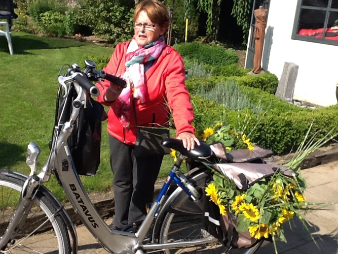 Zonnebloem afdeling