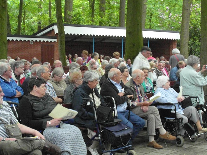 Zonnebloem afdeling