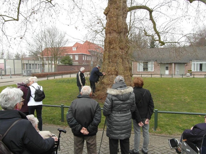 Zonnebloem afdeling