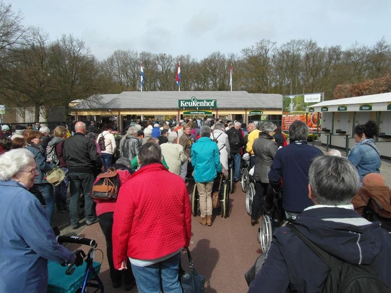 Zonnebloem afdeling