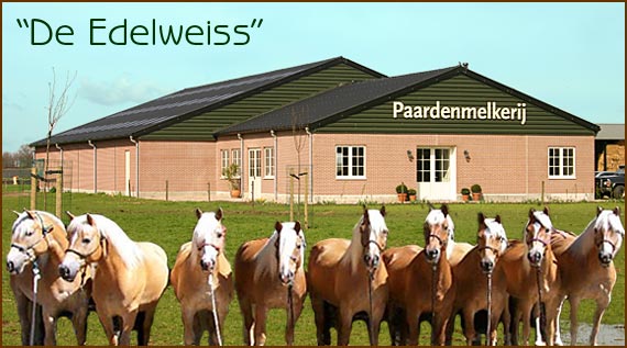 Zonnebloem afdelingsnieuws