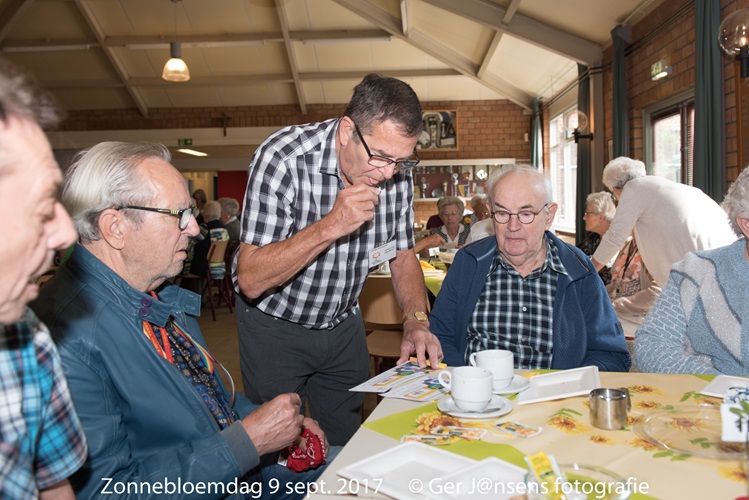 Zonnebloem afdeling