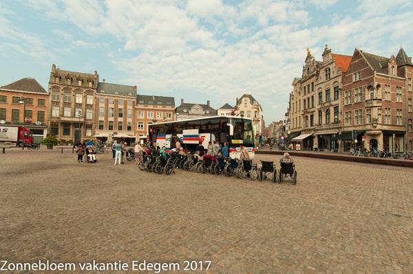 Zonnebloem afdeling