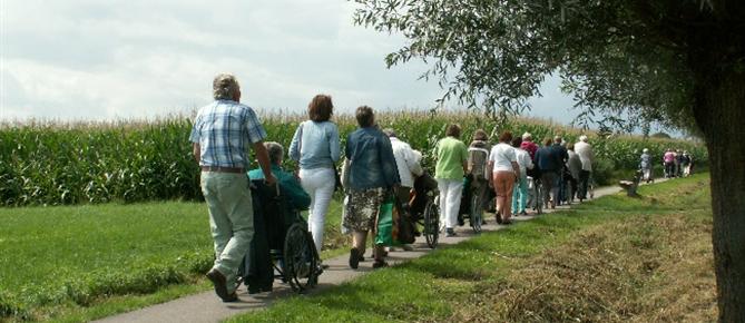 Zonnebloem afdelingswebsite