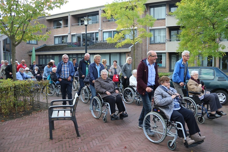 Zonnebloem afdeling