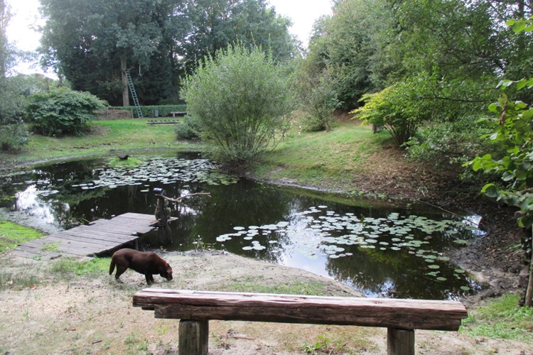 Zonnebloem afdeling