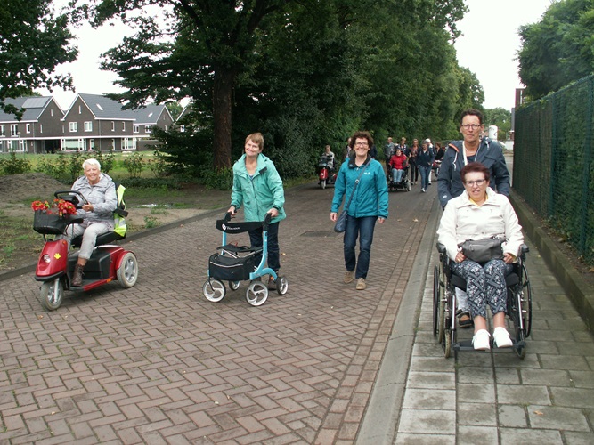 Zonnebloem afdeling