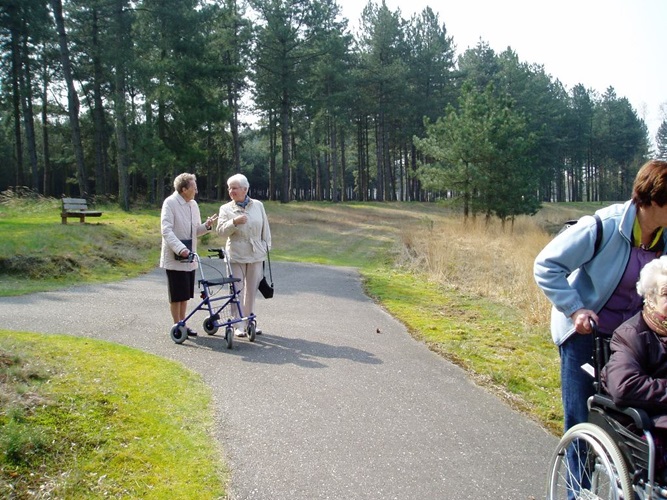 Zonnebloem afdeling