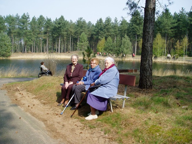 Zonnebloem afdeling