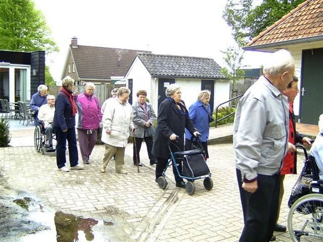 Zonnebloem afdeling