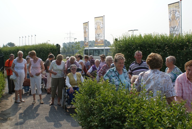 Zonnebloem afdeling