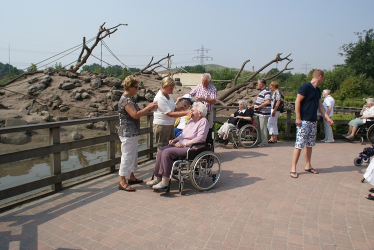 Zonnebloem afdeling