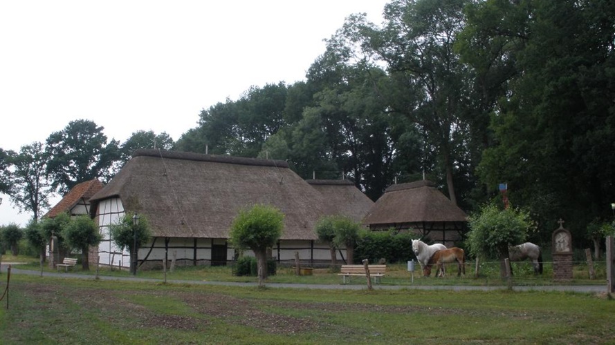 Zonnebloem afdeling