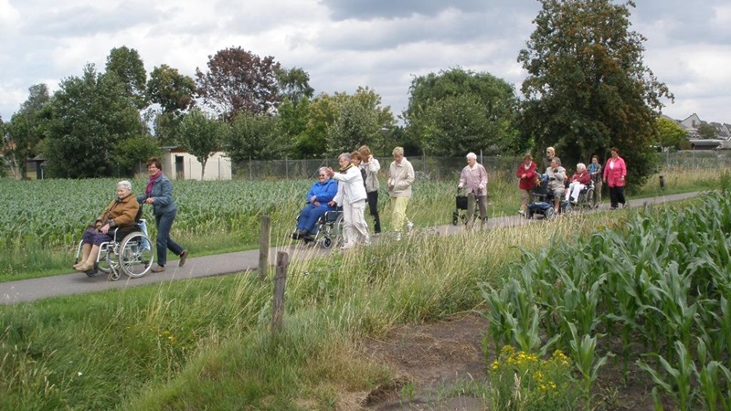 Zonnebloem afdeling