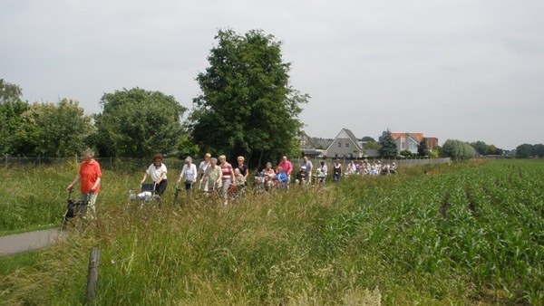 Zonnebloem afdeling