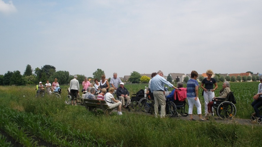 Zonnebloem afdeling