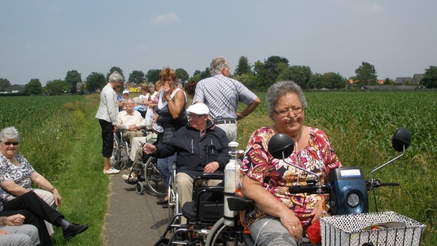 Zonnebloem afdeling