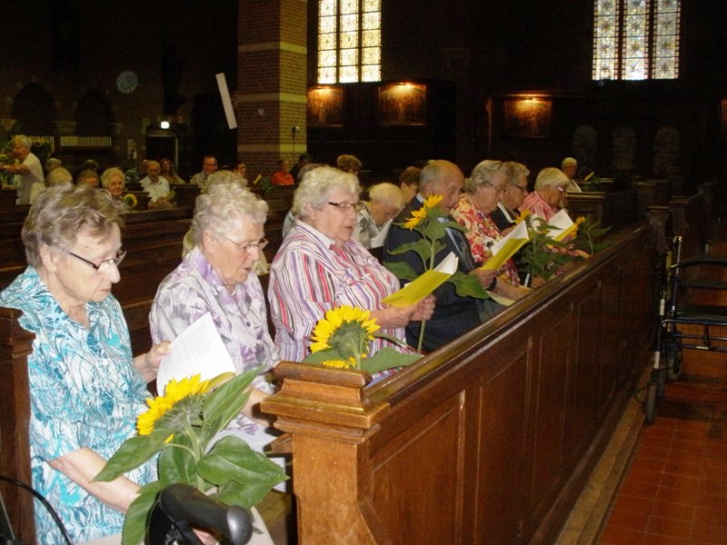 Zonnebloem afdeling