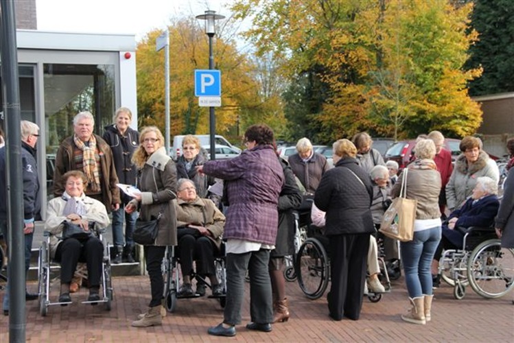 Zonnebloem afdeling