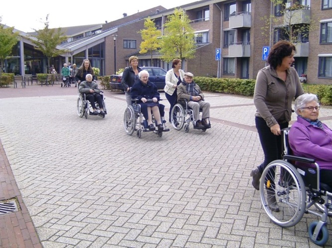 Zonnebloem afdeling