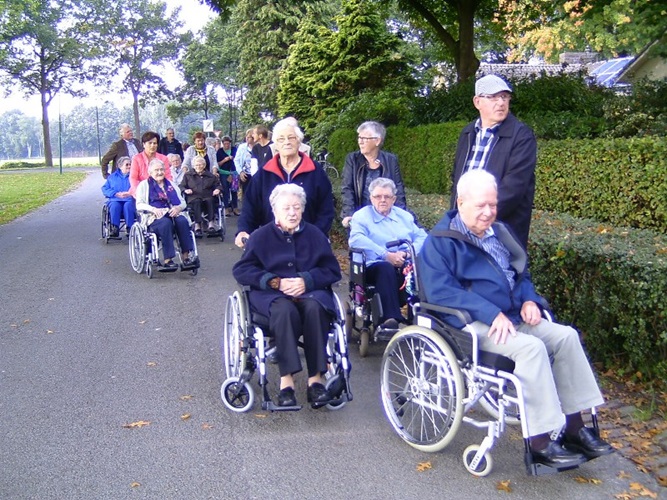 Zonnebloem afdeling