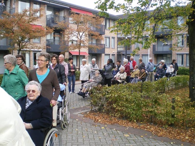 Zonnebloem afdeling