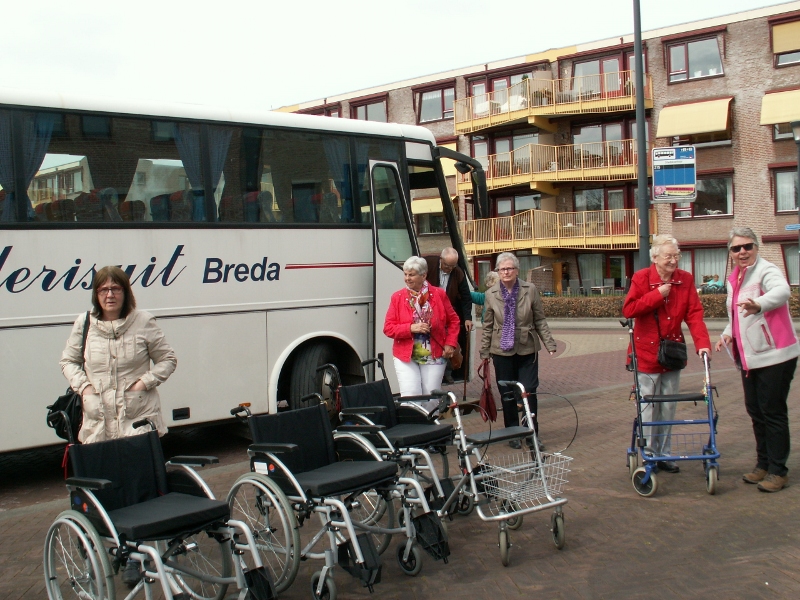 Zonnebloem afdeling