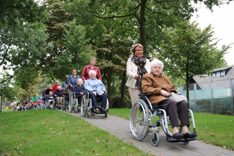 Zonnebloem afdeling