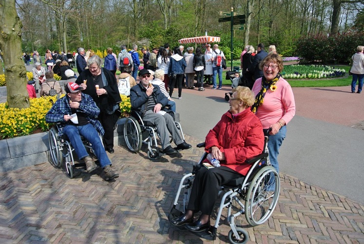 Zonnebloem afdeling