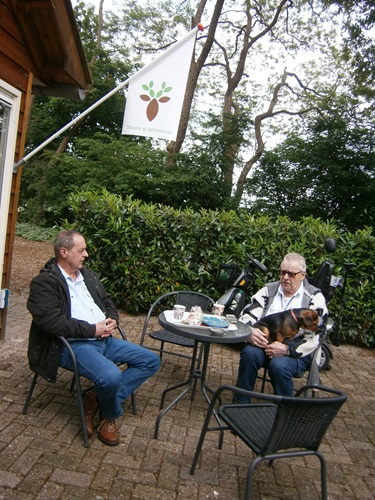 Zonnebloem afdeling