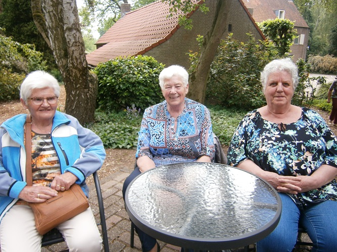 Zonnebloem afdeling