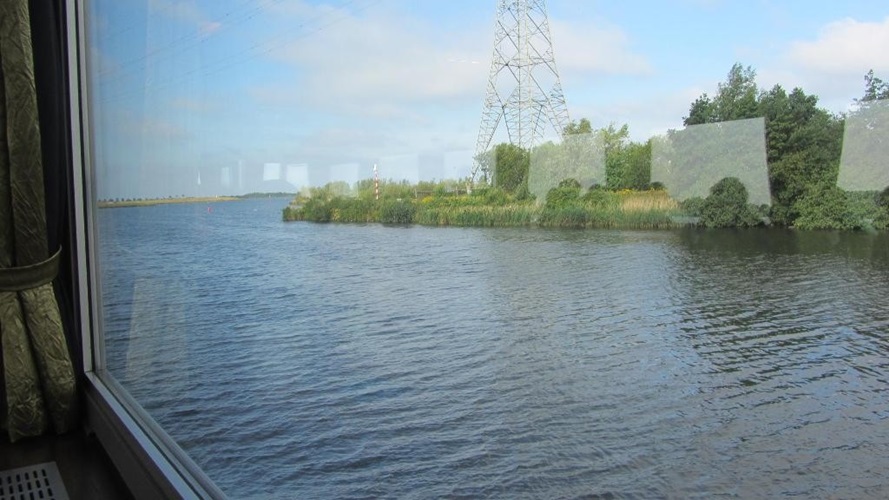 Zonnebloem afdeling