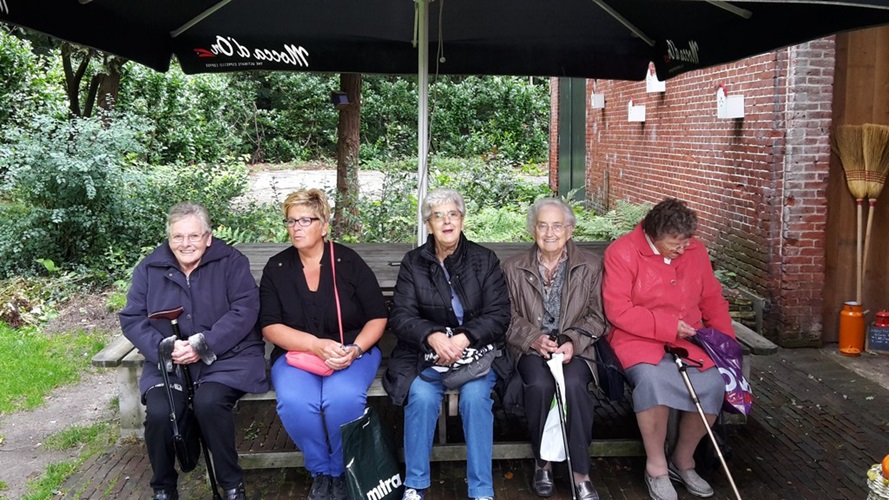 Zonnebloem afdeling