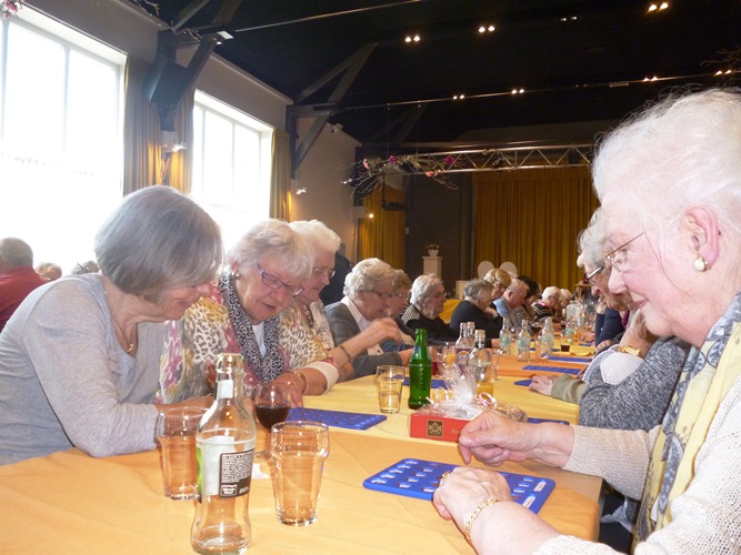 Zonnebloem afdeling