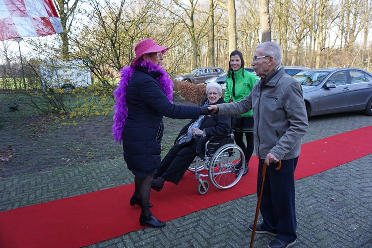 Zonnebloem afdeling