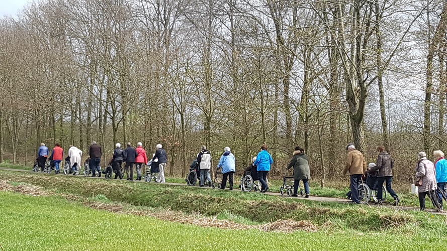 Zonnebloem afdeling