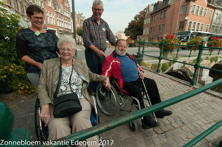 Zonnebloem afdeling