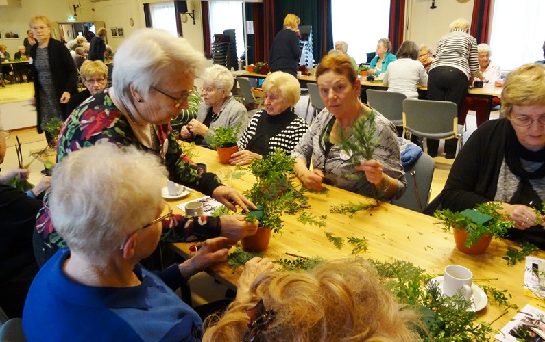 Zonnebloem afdeling