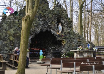 Zonnebloem afdelingsnieuws