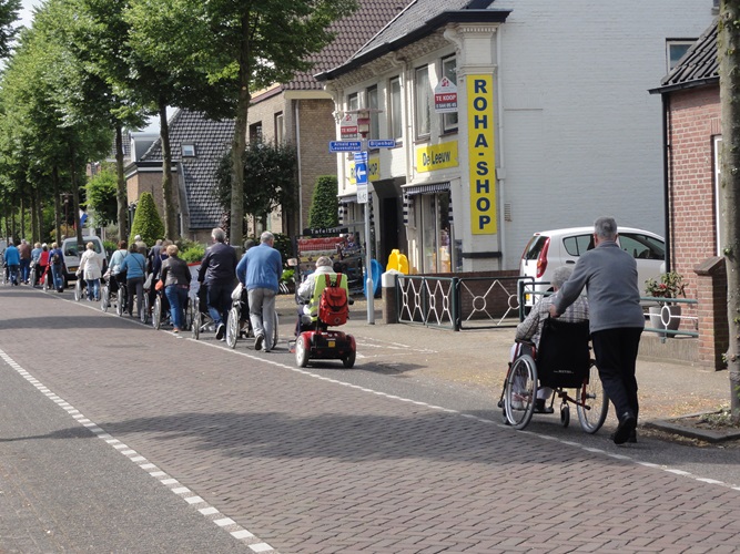 Zonnebloem afdeling