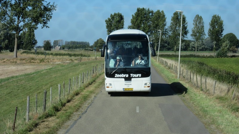 Zonnebloem afdeling